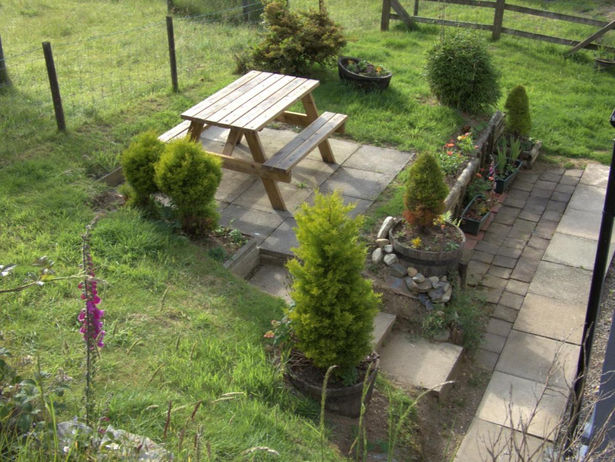 Abergwynant Farm Glamping & Apartments 돌겔라우 외부 사진