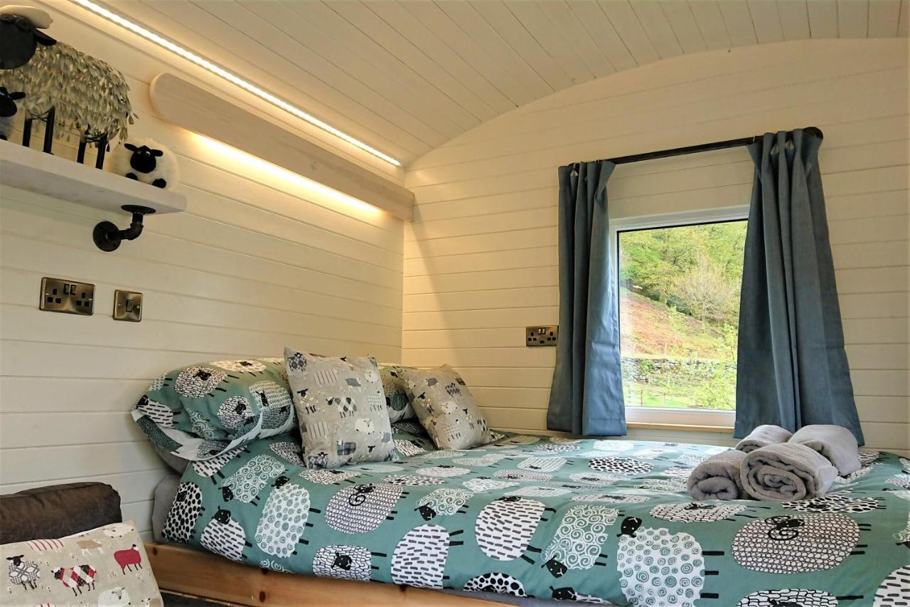 Abergwynant Farm Glamping & Apartments 돌겔라우 외부 사진