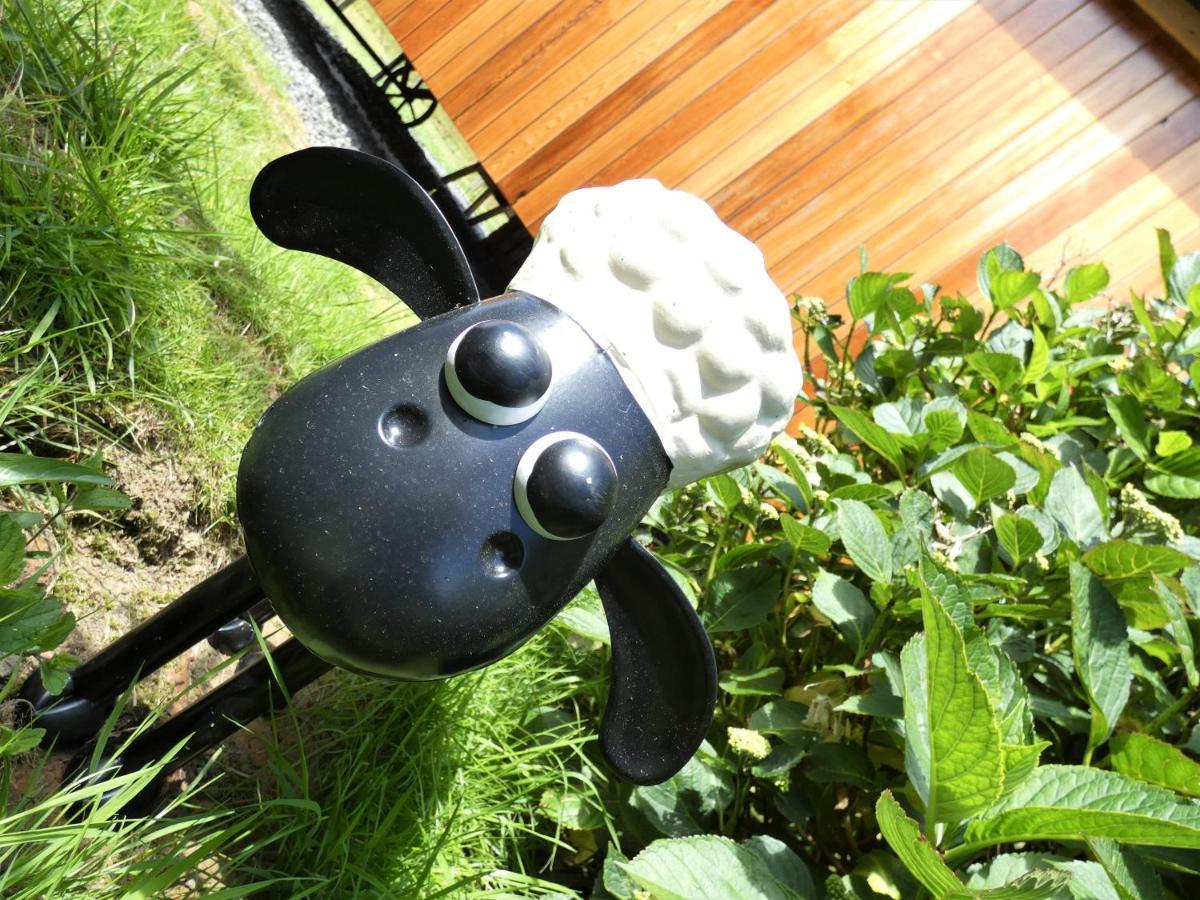 Abergwynant Farm Glamping & Apartments 돌겔라우 외부 사진