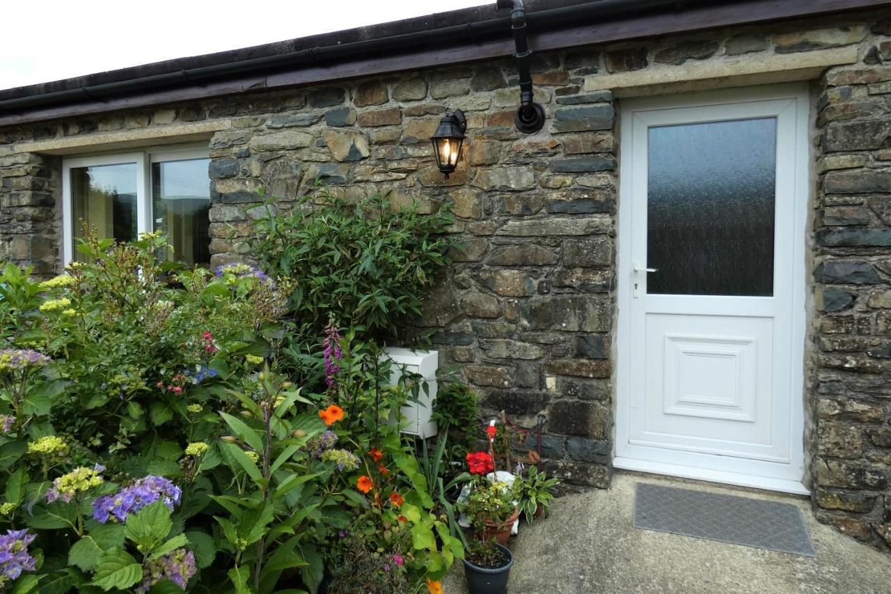 Abergwynant Farm Glamping & Apartments 돌겔라우 외부 사진