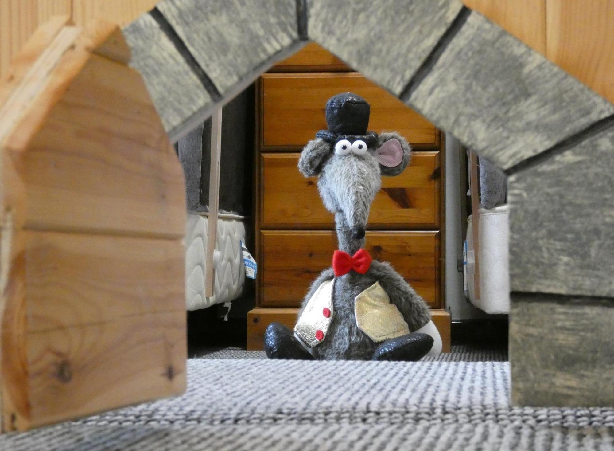 Abergwynant Farm Glamping & Apartments 돌겔라우 외부 사진