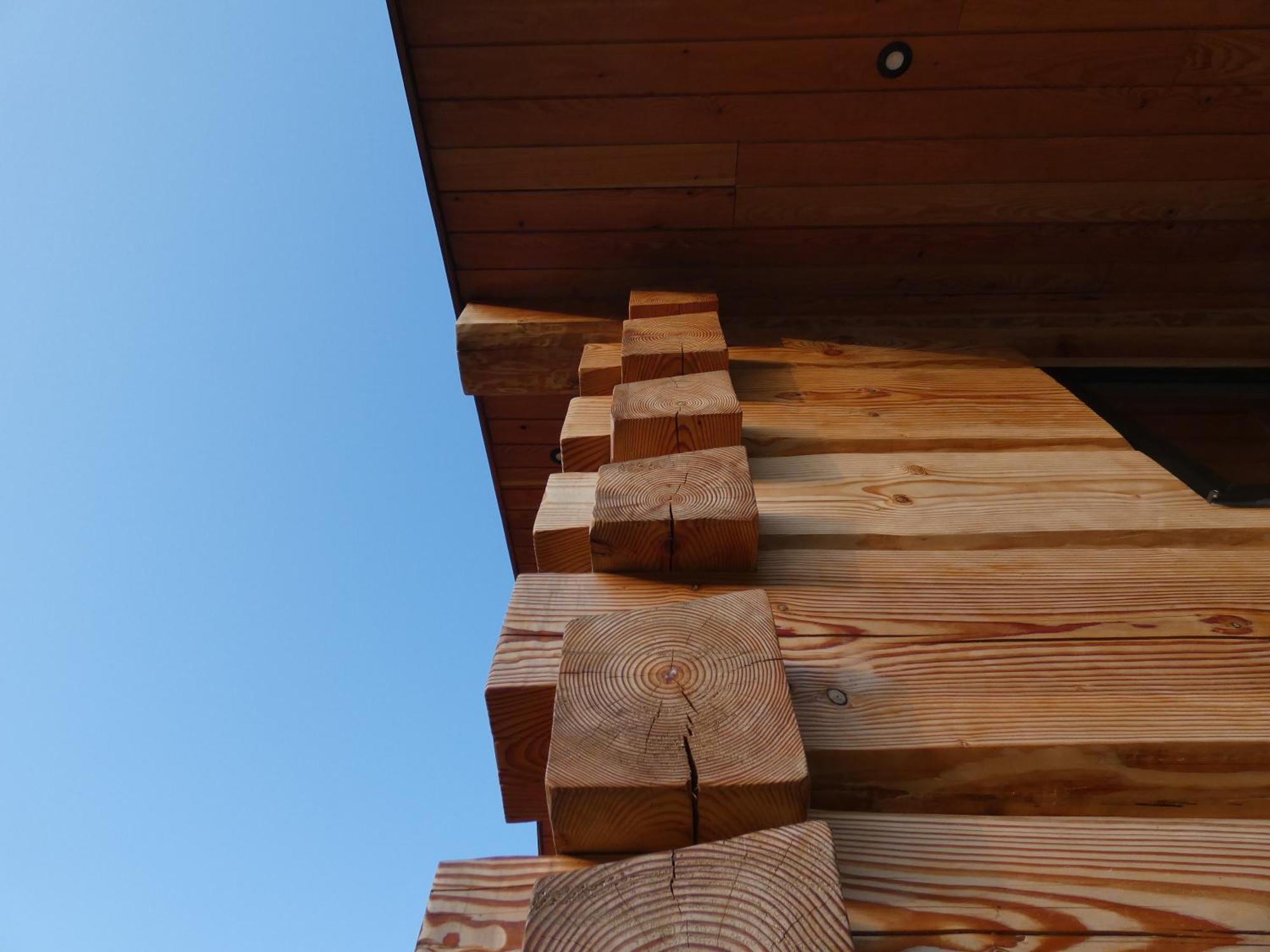 Abergwynant Farm Glamping & Apartments 돌겔라우 외부 사진